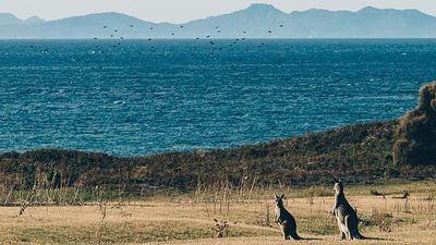 How an AI-generated travel website sent tourists to a non-existent hot spring attraction