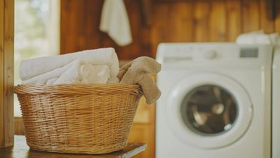 Scared of nightmare laundry room, woman kept buying clothes …until she had to step inside, this time with a baseball bat