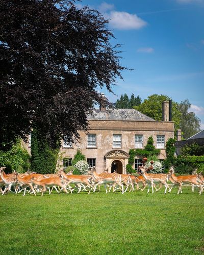 Restaurants worth travelling for: The Pig in the Cotswolds