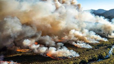 Australia hit by severe heatwave with burning across places nearing 50 C and thousands without power; here’s the reason