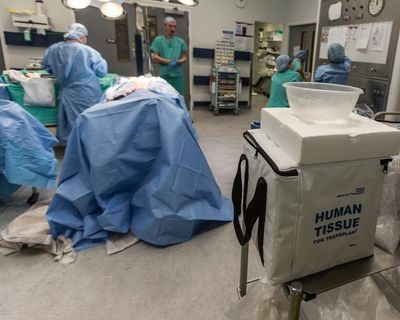 Paying kidney donors won’t solve the problem