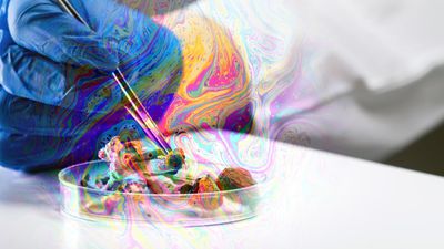 Psychedelic therapy gains ground in Europe, under strict conditions