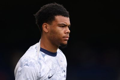 Dane Scarlett: Tottenham confirm January striker exit as loan deal announced