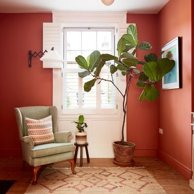 Experts say this is how often your fiddle leaf fig really needs watering – and share the signs it's thirsty