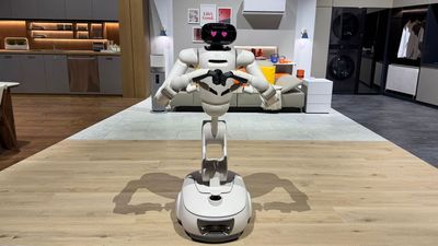 Household robots are all anyone’s talking about – but will they catch on?