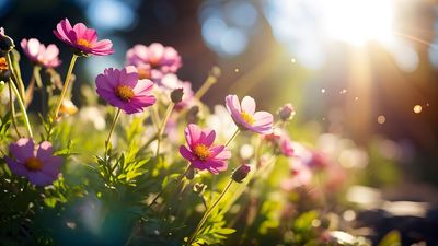 After a brutal winter, will spring be warm? The Old Farmer's Almanac has the answer