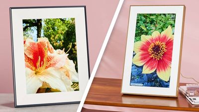 Wave bland wall spaces goodbye: I tested two of my fave digital photo frames head-to-head, and this option is perfect for giving gloomy winter rooms a glow-up