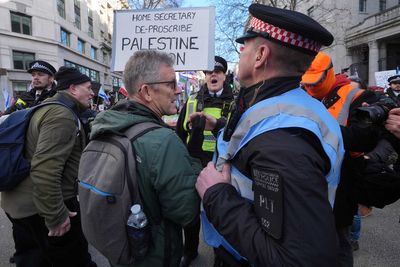 Renowned activist arrested over placard at pro-Palestine protest