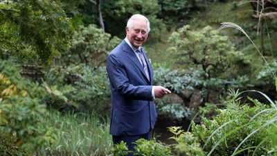 King Charles Talks to His Plants – a Practice Rooted in Ancient Animistic Traditions, Which Garden Experts Love