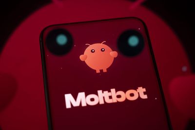 Moltbook, a social network where AI agents hang together, may be 'the most interesting place on the internet right now'