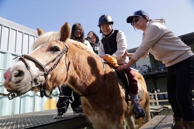 Children with disabilities find joy and support through horse therapy in Taiwan