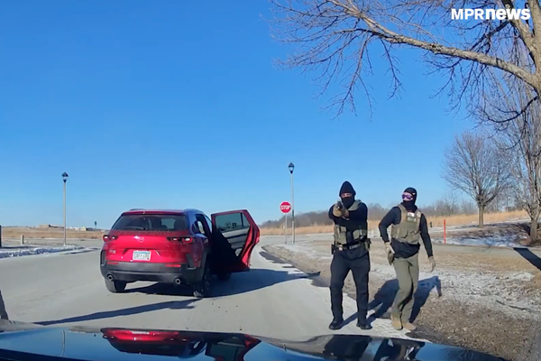 Dramatic dashcam video shows masked DHS agents arresting citizen driver at gunpoint