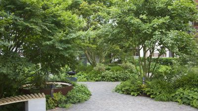 February Is a Peak Pruning Time, but You Must Target the Right Plants – These 7 Will Give Stunning Displays if Trimmed This Month