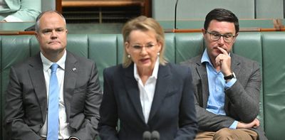 View from The Hill: New poll brings dreadful news for Ley, another boost for One Nation