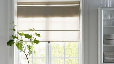 ‘Please Don’t Ever Discontinue This Product’ – IKEA’s Viral Magnetic Blinds Are Stylish, Easy to Install, and Look So Much More Expensive Than $35