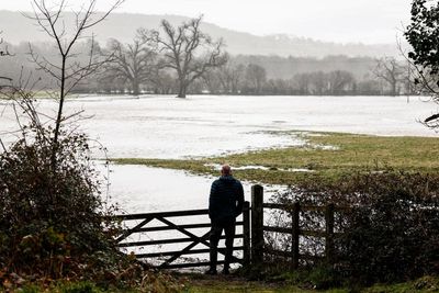 ‘It sounds apocalyptic’: experts warn of impact of UK floods on birds, butterflies and dormice