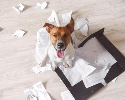 Readers reply: to shred or not to shred? Is it OK to throw out sensitive documents?
