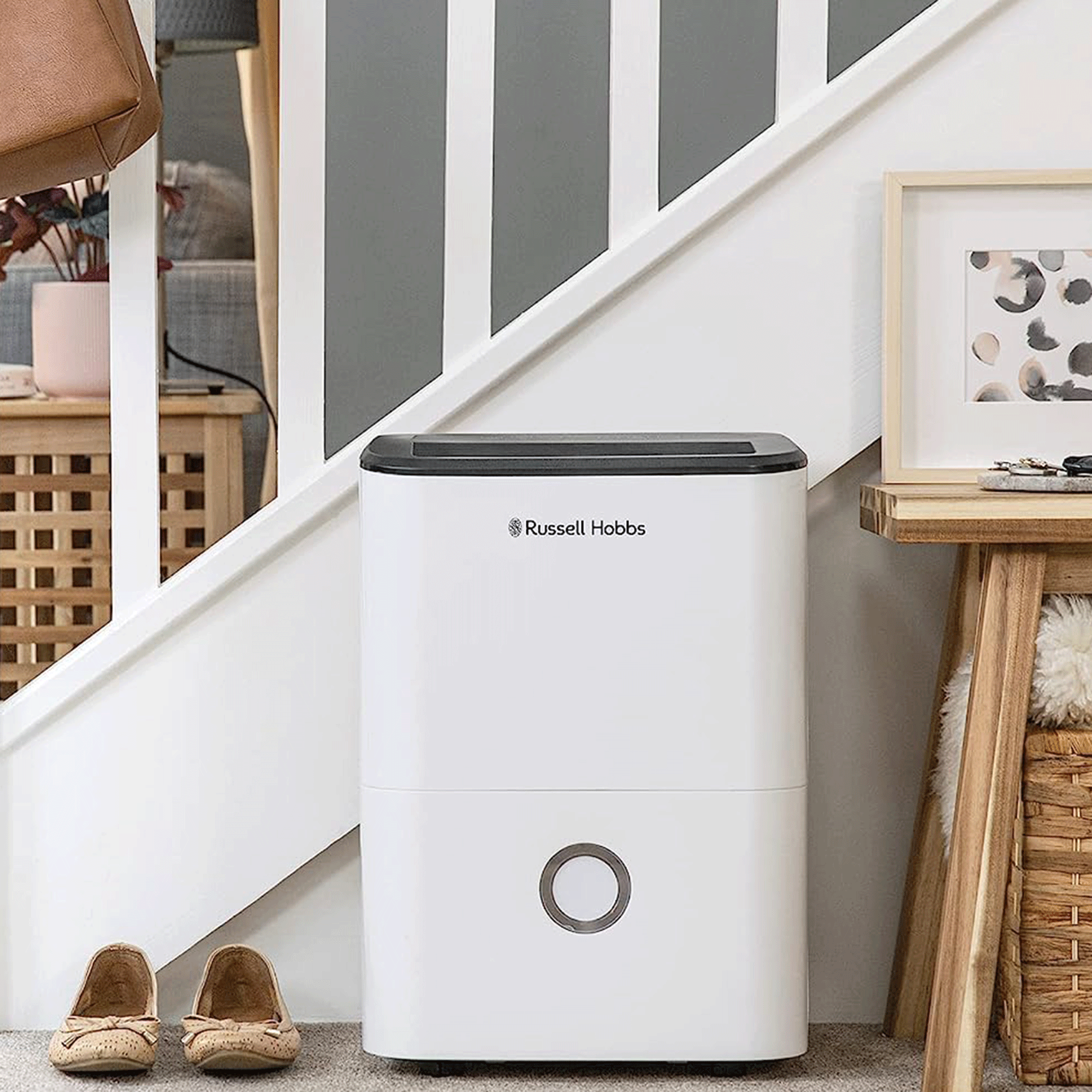 I asked the experts where to put your dehumidifier for the best results and they recommended these 5 places