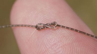 Shanghai scientists create computer chip in fiber thinner than a human hair, yet can withstand crushing force of 15.6 tons — fiber packs 100,000 transistors per centimeter