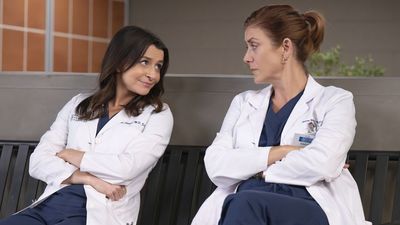 ‘She Does Feel Like Family.’ Grey’s Anatomy’s Kate Walsh Opens Up About ‘Very Intimate’ Reunion With Caterina Scorsone
