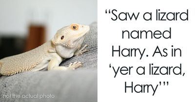 65 Times Vets Heard Such Brilliant And Bizarre Pet Names That They Just Had To Share Them