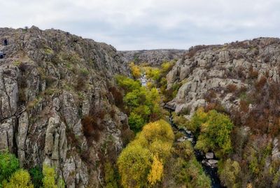 ‘Nothing is sacred to them’: the race to save rare plants as Russian troops advance