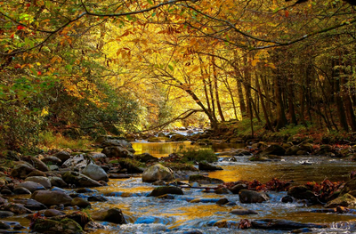 What Makes a Vacation Feel Truly Complete