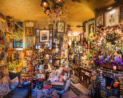 ‘Make your homes weird,’ urges an interior designer. Me? I’ve a stuffed magpie and three pewter goats