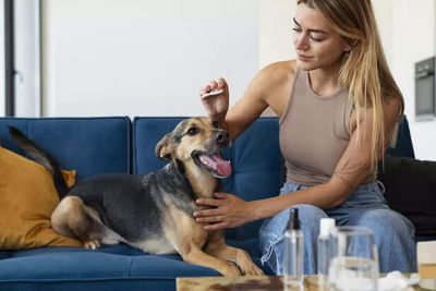 Does Your Pet Really Need Supplements or Is Love & Food Enough?