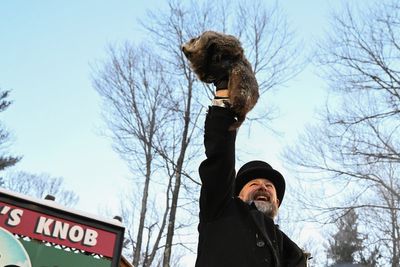 Punxsutawney Phil sees his shadow forecasting 6 more weeks of winter