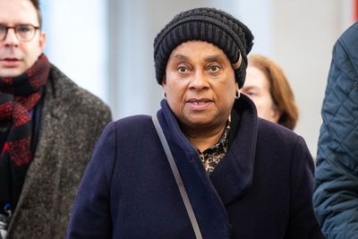 Baroness Lawrence claims Daily Mail pretended to support her for ‘credibility’