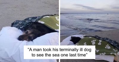 This Instagram Account Shares Fascinating Fun Facts And Real Life Stories, Here’s 20 Of Their Best Posts