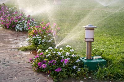 The Florida “Water Sensor” Alert: Why Homeowners are Being Fined $250 for “Illegal” Sprinkler Use