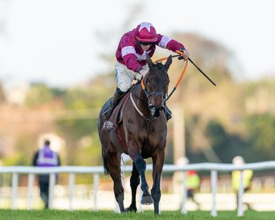 Leopardstown success shows Dublin Racing Festival is galloping past Cheltenham on value