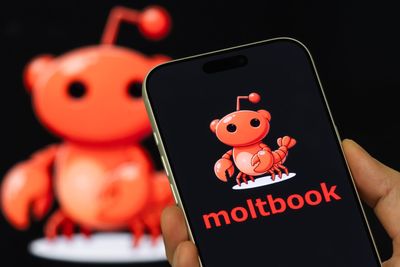 Top AI leaders are begging people not to use Moltbook, a social media platform for AI agents: It’s a ‘disaster waiting to happen’