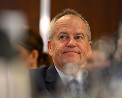 Bill Shorten questions ‘forces at play’ after Steve Bannon’s claim he helped Clive Palmer, damaging Labor’s 2019 election chances