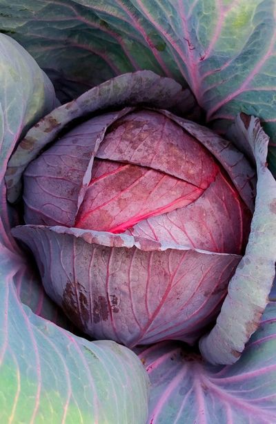 10 Health Staples That Are Surprisingly Cheap if You Buy Them This Week