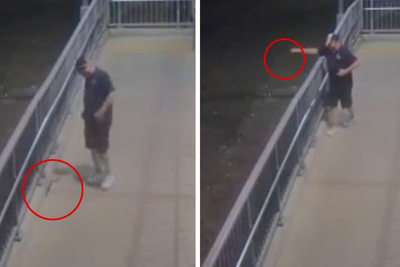 Snake causes terror at train station - before fearless passenger takes matters into his own hands