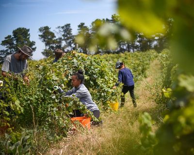 The Pacific worker scheme is in Australia’s economic and strategic interests. But its future hinges on fixing its flaws