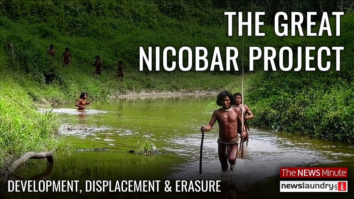 Watch: The Great Nicobar Project: Millions of trees,…