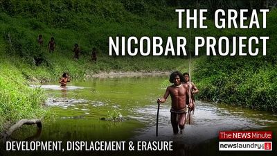 Watch: The Great Nicobar Project: Millions of trees, and tribes at risk