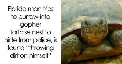 87 Unhinged News Headlines That Can Only Happen In America