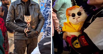 16 Adorable Moments I Captured At Paw Carnival 2026