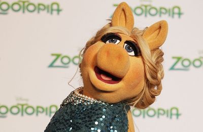 The Muppets icon Miss Piggy 'won't fight the charges' after arrest for being 'too hot'