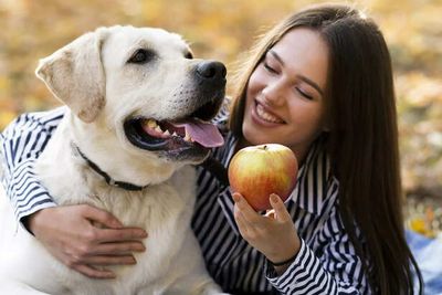 How to Boost Your Pet Immunity Naturally at Home ?