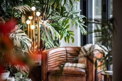 Create a cozy nature nook at home with tips from plant stylist Hilton Carter
