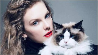 Taylor Swift Made His Fiancé Travis Kelce’s Nieces Fall For Cats