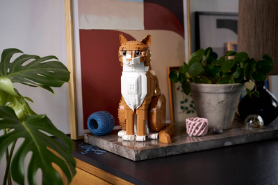 Lego’s orange cat has been unveiled – here’s everything you need to know