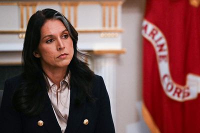 Georgia Democrats call for inquiry into Gabbard’s presence at Fulton county search