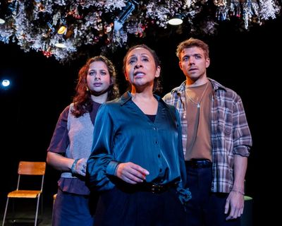 Maggots review – tragic tale of a death undiscovered for more than a year